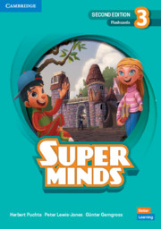 Super Minds Level 3 Flashcards British English 2nd Edition